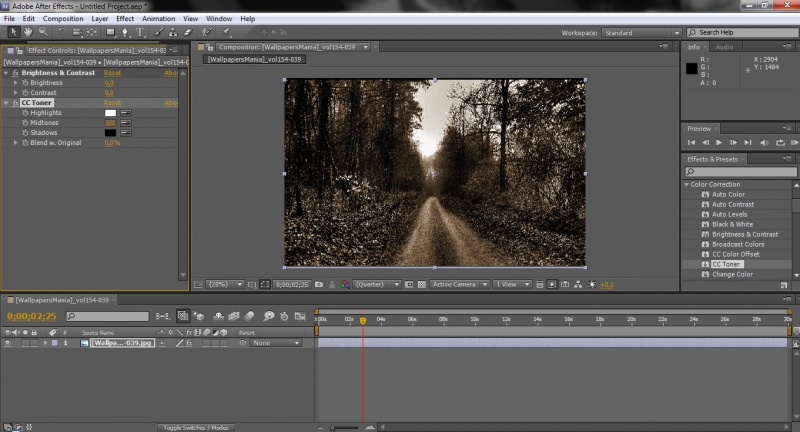   Adobe After Effects -  10