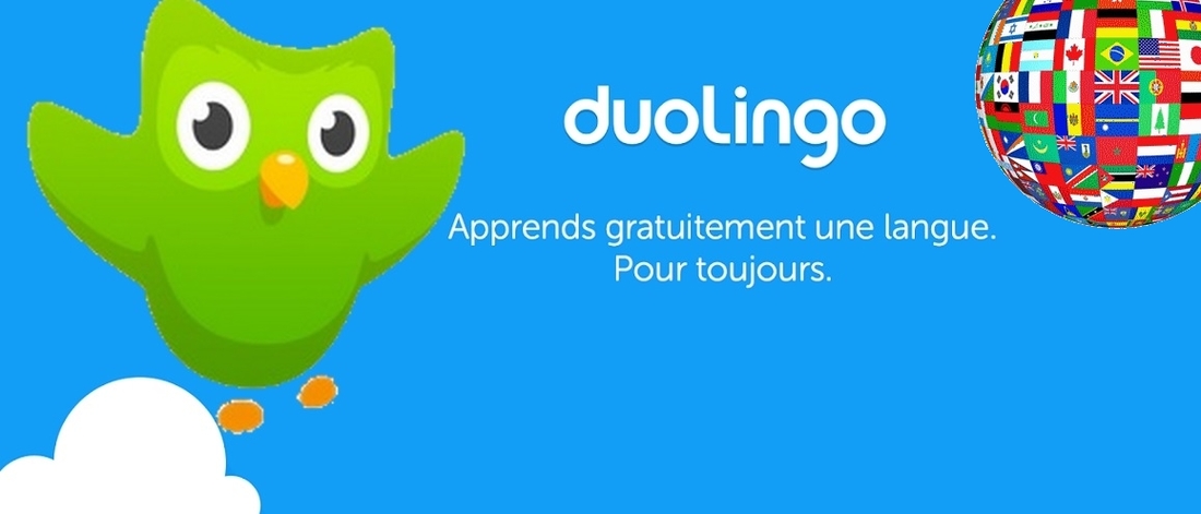 duolingo application